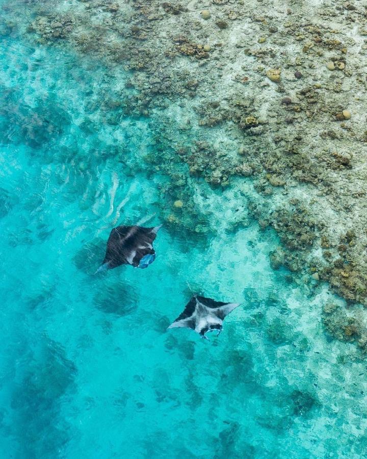 Iru Maldives Hotel Thulusdhoo Kültér fotó